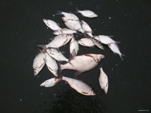 IMG_20201214_133047.jpg
