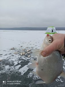 IMG_20201216_100025.jpg