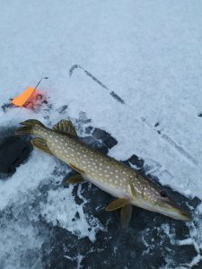 IMG_20201217_152837.jpg