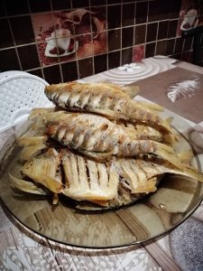 IMG_20201217_180013.jpg