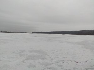IMG_20201219_074538.jpg