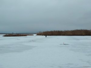 IMG_20201219_074531.jpg