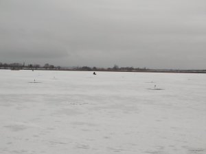 IMG_20201219_074526.jpg