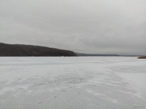 IMG_20201219_074515.jpg