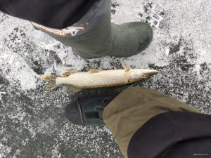 IMG_20201219_101928.jpg