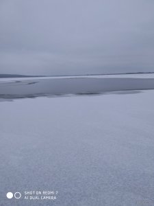 IMG_20201218_095821.jpg