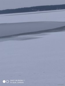 IMG_20201218_095832.jpg