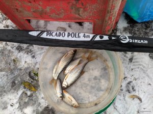 IMG_20201220_094646.jpg