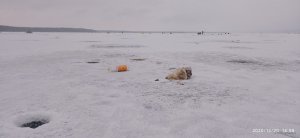 IMG_20201220_145828.jpg