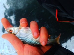 IMG_20201219_210624.jpg