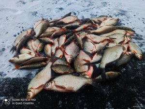 IMG_20201219_210823.jpg