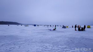 IMG_20201220_073503.jpg