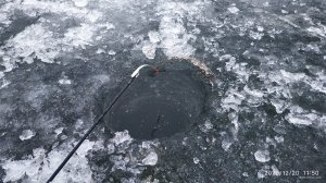 IMG_20201220_115001.jpg