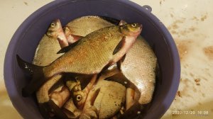 IMG_20201220_160806.jpg