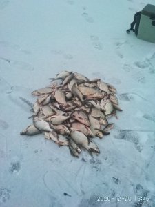 IMG_20201220_154537.jpg