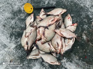 IMG_20201220_111317.jpg