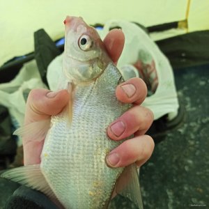 IMG_20201221_094326_765.jpg