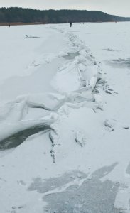 20201220_183209.jpg