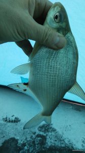IMG_20201221_085528.jpg