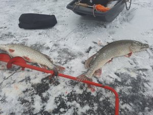 20201219_122730.jpg