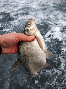 IMG_20201219_145355.jpg
