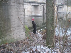 IMG_4563.JPG