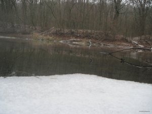 IMG_4569.JPG