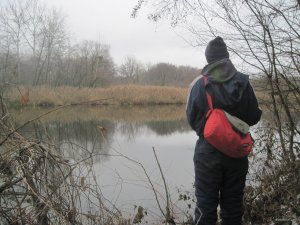 IMG_4597.JPG