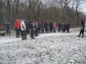 IMG_4631.JPG