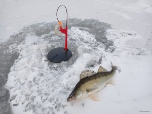 IMG_20201222_095444.jpg