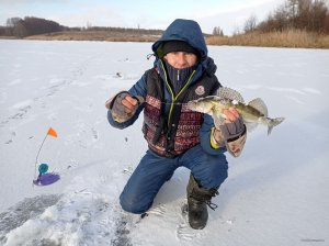 IMG_20201222_101022.jpg