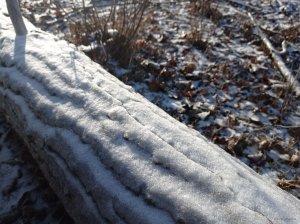 IMG_20201222_111334.jpg