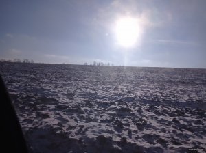 IMG_20201222_120613.jpg