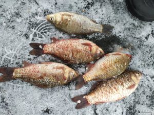 IMG_20201219_142302.jpg