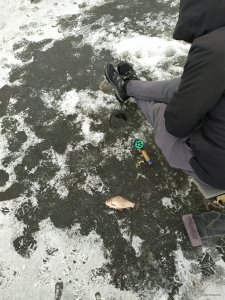 IMG_20201220_142300.jpg