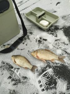 IMG_20201221_140846.jpg