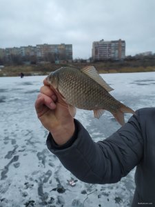 IMG_20201220_141824.jpg