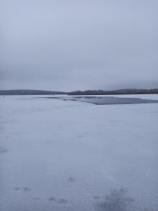 IMG_20201220_072313.jpg