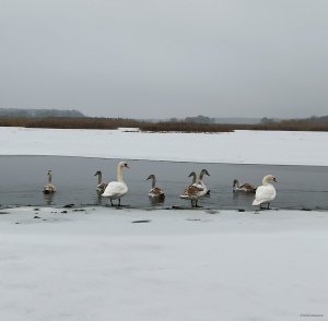 IMG_20201222_182908.jpg