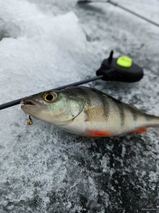 IMG_20201220_121829.jpg