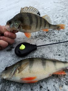 IMG_20201220_124325.jpg