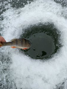 IMG_20201220_203149.jpg