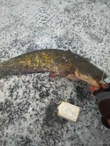 IMG_20201222_161943.jpg