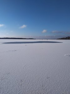 IMG_20201222_101004.jpg