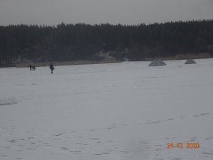 DSC07584.JPG