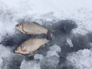 20201225_100218.jpg
