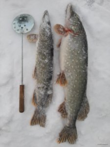 20201225_124643.jpg