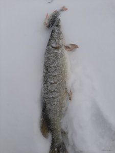 20201225_102432.jpg
