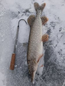 20201225_073551.jpg