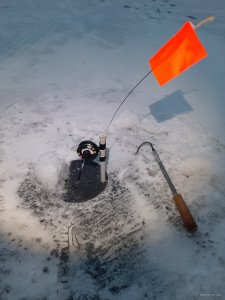 20201225_071711.jpg